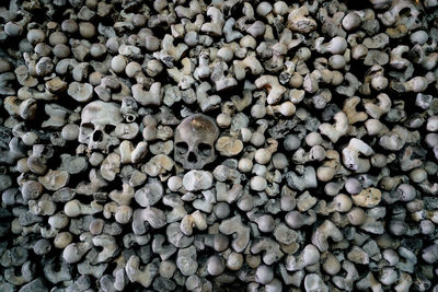 Full frame shot of bones and skulls at st leonard church