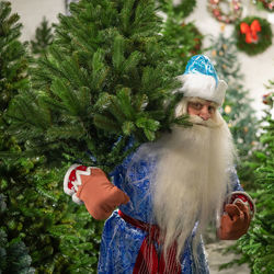 Rear view of woman holding christmas tree