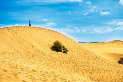 Scenic view of desert against sky