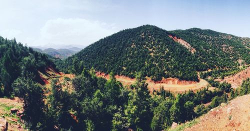 Panoramic view of trees and mountains against sky