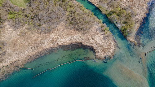 High angle view of starfish on beach