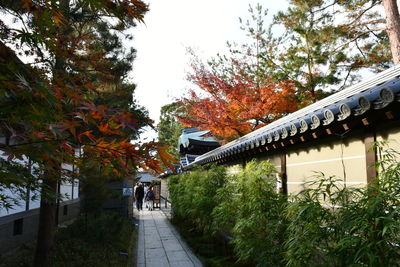 Footpath amidst trees and buildings against sky