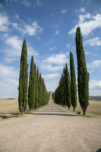 Panoramic view of empty road amidst field against sky