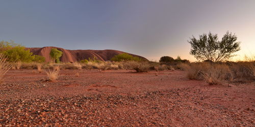 Sunrise in uluru. uluru-kata tjuta np. northern territory. australia