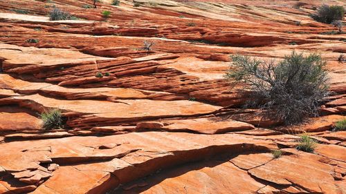 Rock formations in a desert