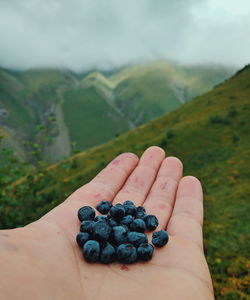 Human hand holding fruit