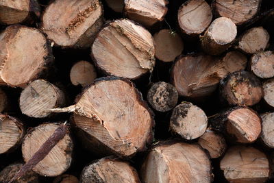 Full frame shot of logs