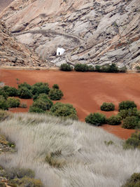 Scenic view of landscape