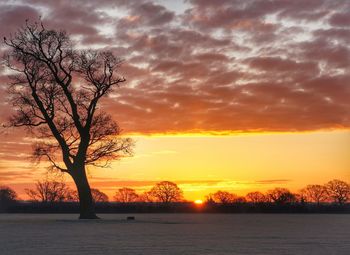 Silhouette bare tree against dramatic sky during sunset