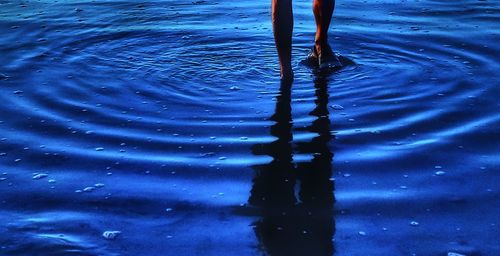 Low section of person standing in water