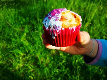 Close-up of hand holding cupcake