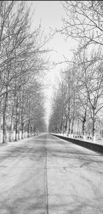 Road amidst bare trees against sky during winter