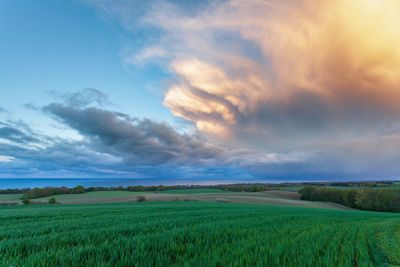 Scenic view of agricultural field against sky during sunset