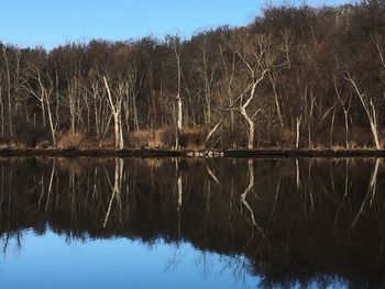 Reflection of trees in lake against sky