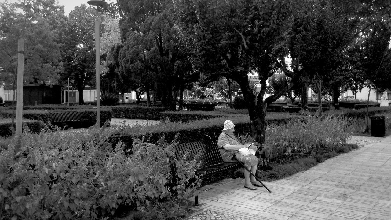 tree, park - man made space, full length, the way forward, footpath, grass, rear view, domestic animals, growth, bench, plant, nature, one animal, animal themes, outdoors, relaxation, day, sunlight, pets, walking