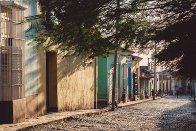 Footpath amidst trees and buildings in city