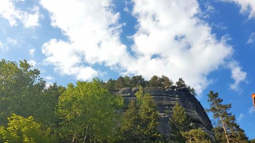 Low angle view of trees and building against sky