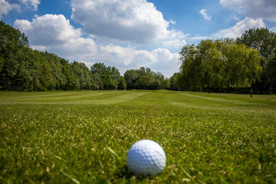 View of golf ball on field against trees