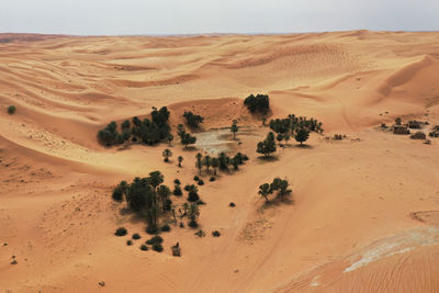 High angle view of oasis
