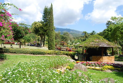 Scenic view of flowering plants and trees by building against sky