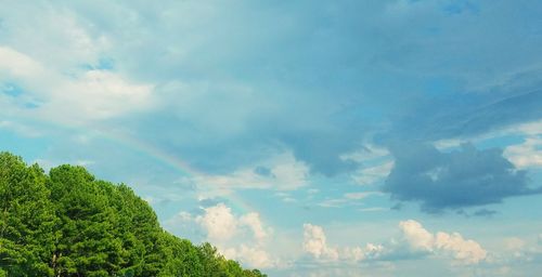 Low angle view of trees against cloudy sky