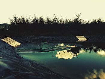 Reflection of trees in water