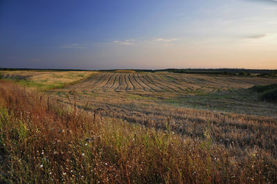 Scenic view of field against sky during sunset