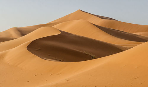 Dunes in the evening sun