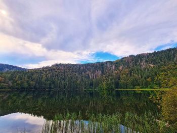 Scenic view of lake by trees against sky