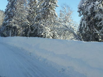 Snow covered landscape