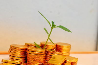 finance