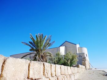 Low angle view of palm tree against clear blue sky