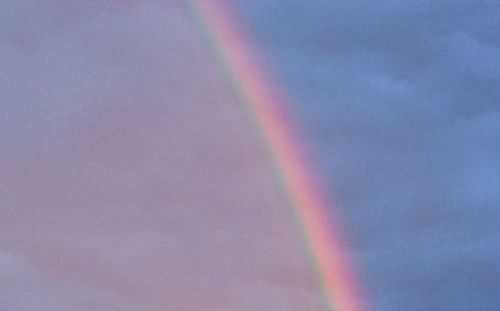 Low angle view of rainbow over trees