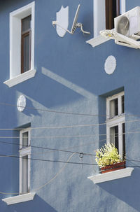 Low angle view of potted plant against building