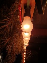 Close-up of illuminated light bulb