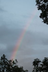 Low angle view of rainbow against sky