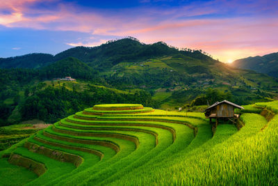 Scenic view of agricultural field against mountain range