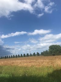 Scenic view of field against sky