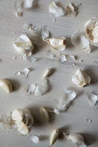 High angle view of garlic on table