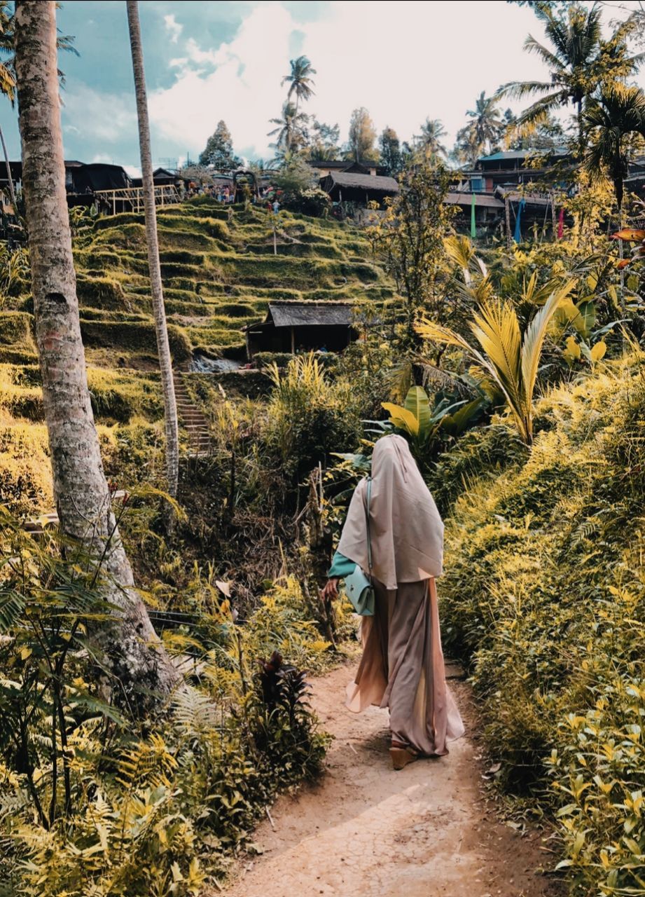 plant, tree, real people, rear view, nature, day, full length, walking, people, architecture, growth, lifestyles, built structure, adult, men, women, clothing, land, leisure activity, outdoors