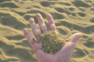 Close-up of hand holding wet sand on beach