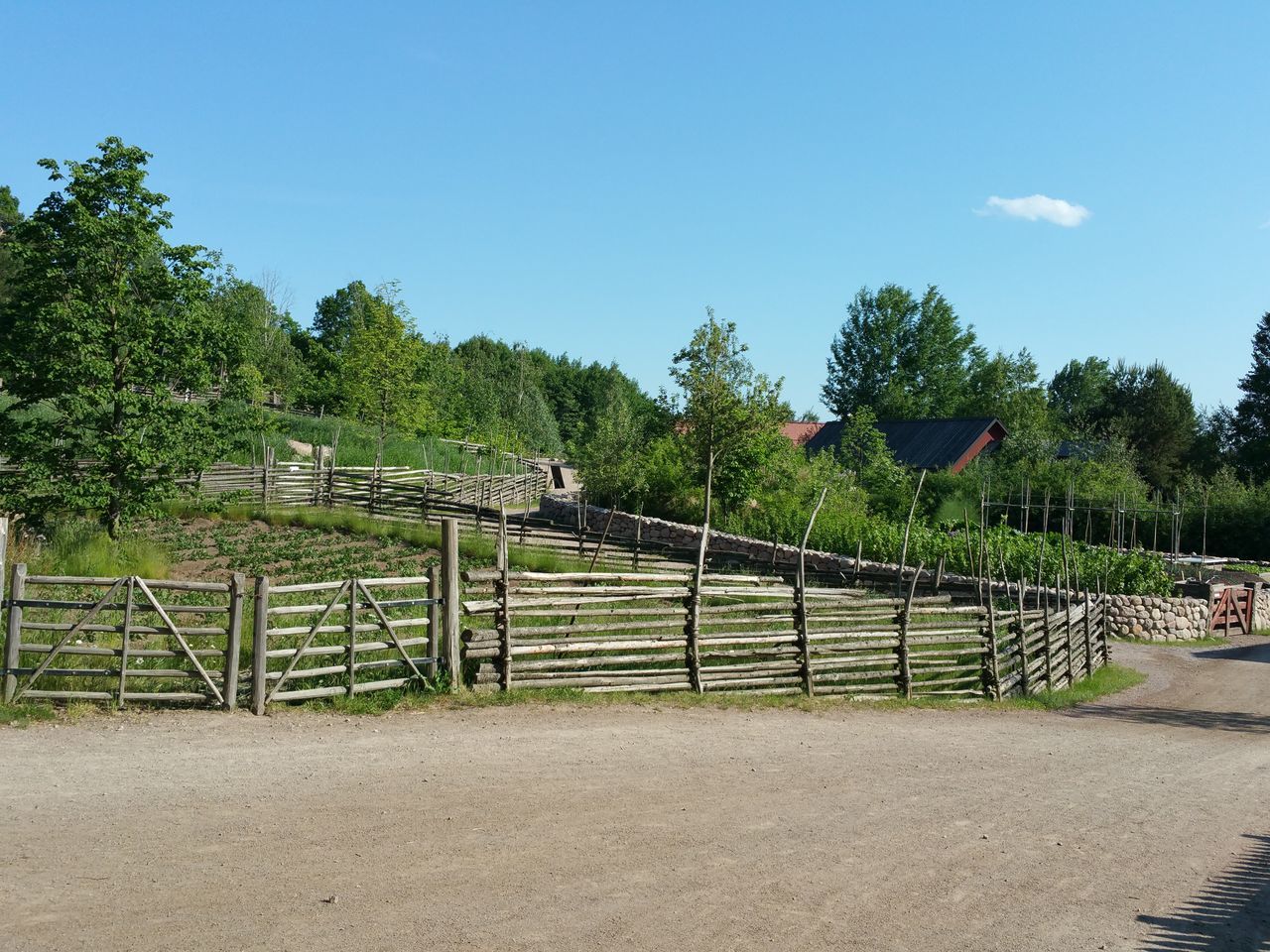 tree, clear sky, blue, railing, fence, growth, sky, tranquility, nature, tranquil scene, sunlight, park - man made space, shadow, day, green color, outdoors, beauty in nature, no people, plant, copy space