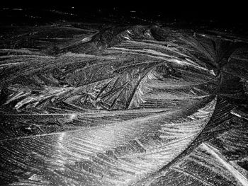 Full frame shot of agricultural field