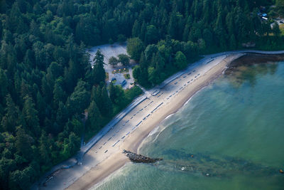 High angle view of road amidst trees in forest