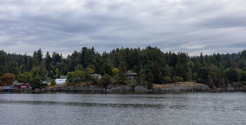 Scenic view of lake by trees against sky