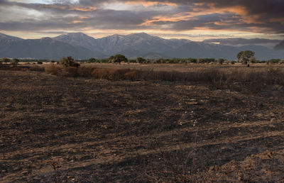 Scenic view of field against sky during sunset