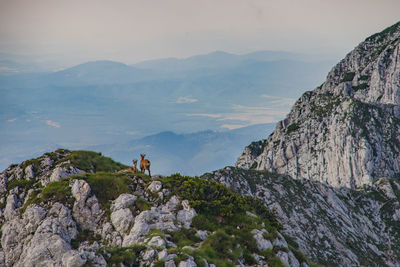 Black goats on mountain peak