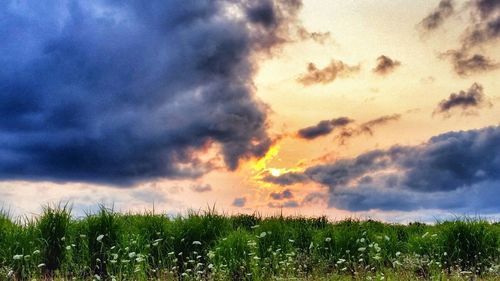 Scenic view of field against cloudy sky