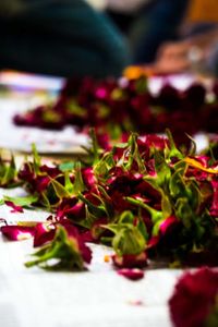 Close-up of salad