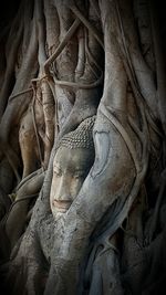 Statue of buddha